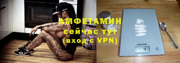 трава Няндома