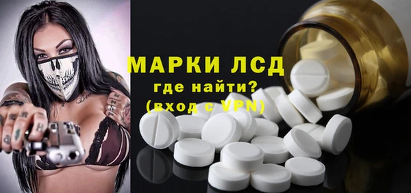 трава Няндома