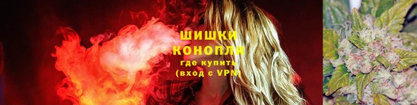 гашик Нягань