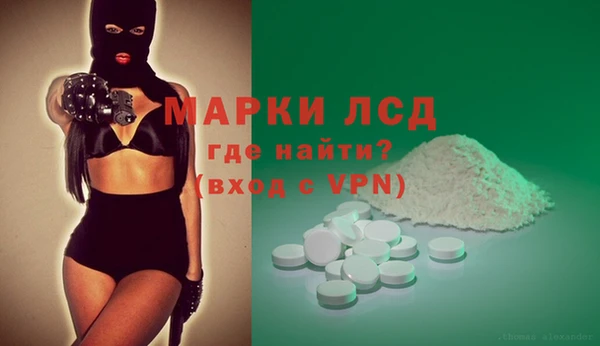 трава Няндома