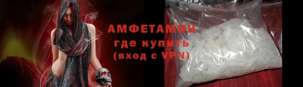трава Няндома