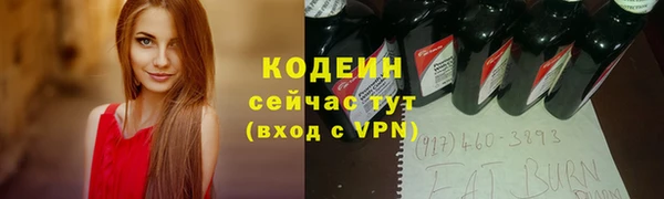 трава Няндома