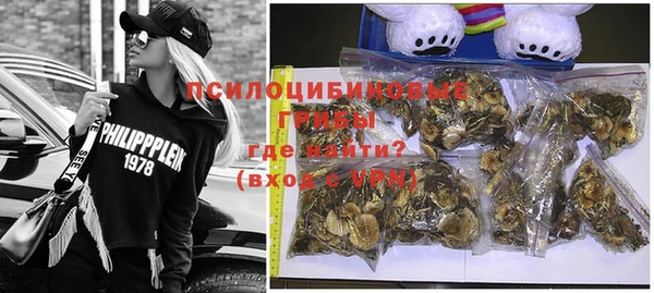 гашик Нягань