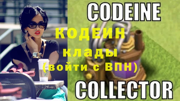 трава Няндома