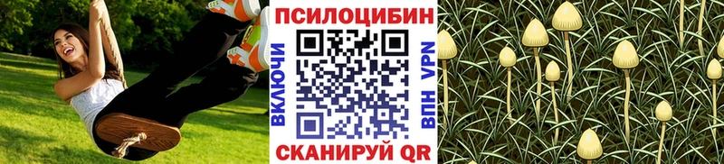 купить наркотики сайты  Павловский Посад  Галлюциногенные грибы прущие грибы 