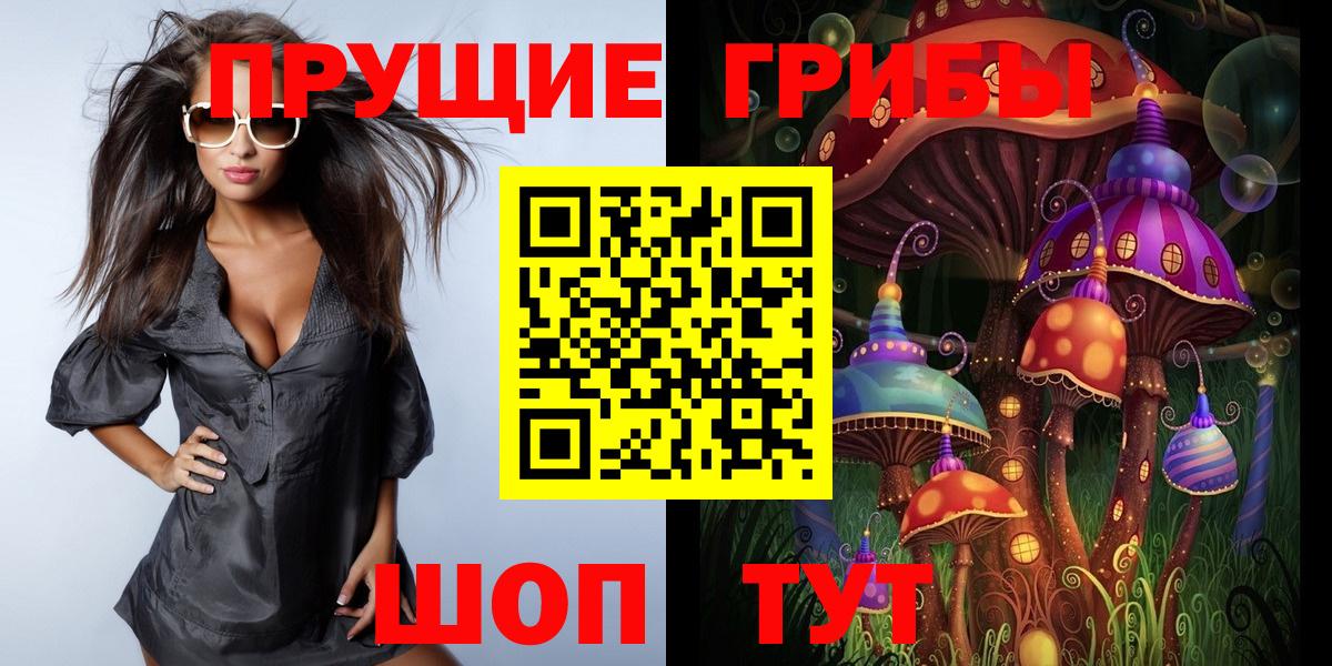 Павловский Посад  где купить   Вход с VPN  Псилоцибиновые грибы Psilocybine cubensis  Псилоцибиновые грибы прущие грибы 