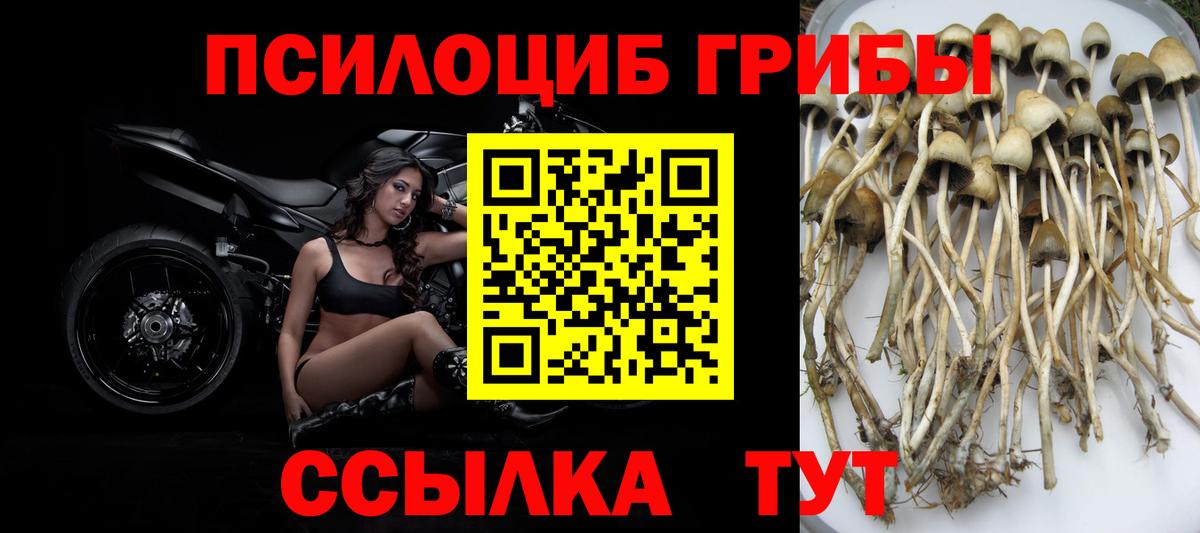 Галлюциногенные грибы MAGIC MUSHROOMS Павловский Посад